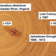 Image for article titled New Discoveries Could Explain What Happened to the Lost Colony of Roanoke